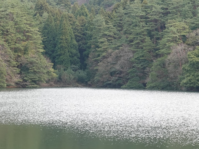 鳥取県西伯郡大山町赤松の赤松池