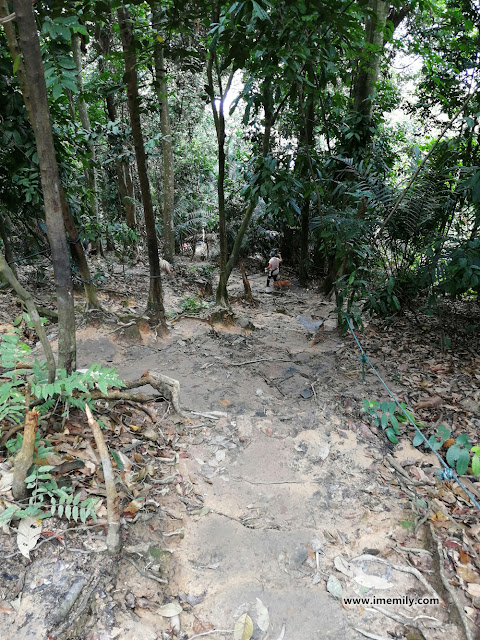 Trail Guide to Ketumbar Hill Hiking