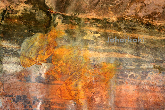 Australian-Aboriginal-Food-Rock-Painting