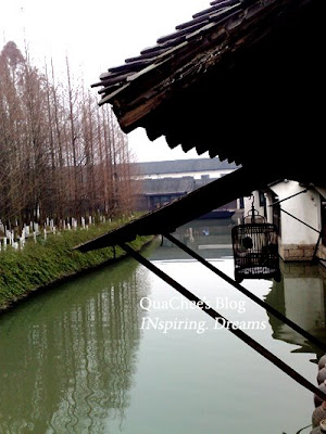 wuzhen bird