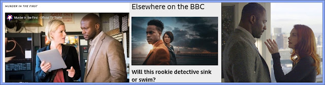 Lazy casting, makes Black Male Detective And White Female Partner a Trope?