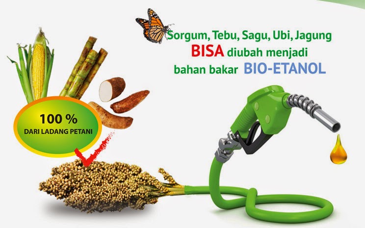 Contoh Karya Ilmiah-OPTIMASI IMPLEMENTASI BIOETANOL 