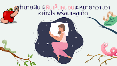 ทำนายฝัน ฝันเห็นหนอน จะหมายความว่าอย่างไร พร้อมเลขเด็ด OHO999.com