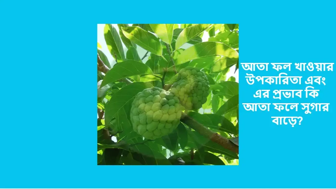 আতা ফল খাওয়ার উপকারিতা এবং এর প্রভাব কি আতা ফলে সুগার বাড়ে?