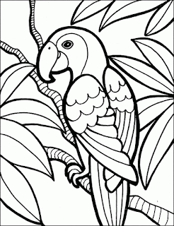 Best Ideas Bird Parrot Coloring Pages Print Online