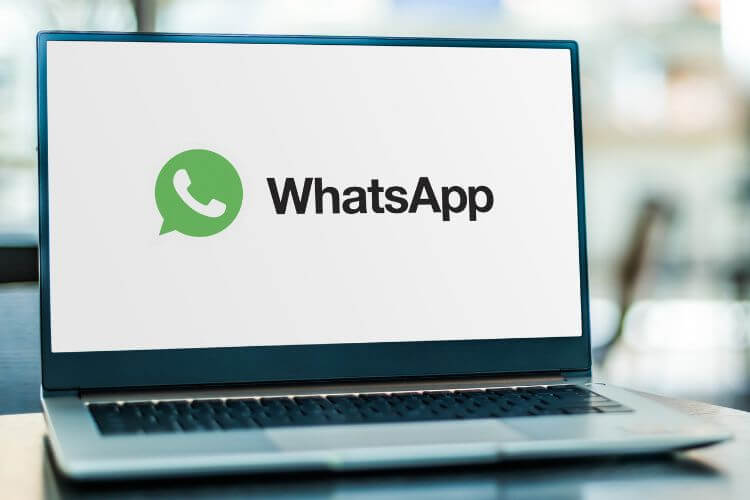 Download WhatsApp For Computer