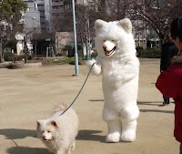 Dog Ewok Costume3