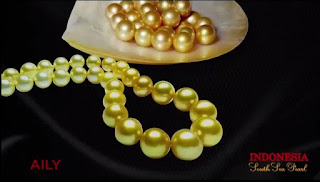 Indonesia South Sea Pearl, Mutiara Penuh Pesona dari Laut Indonesia