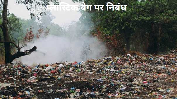 प्लास्टिक बैन पर निबंध प्लास्टिक बैग पर निबंध  Essay on Plastic Bag in Hindi