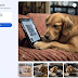 how Can Use Meta's New AI Image Generator