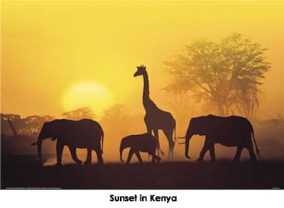 Sunset in Kenya Animals