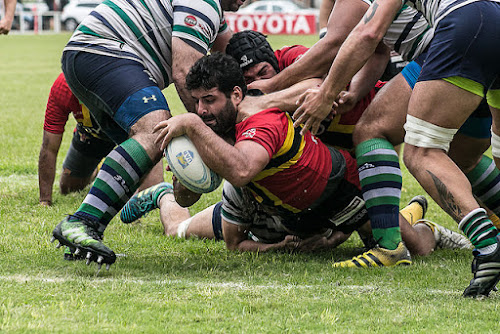 Cardenales ganó y es finalista