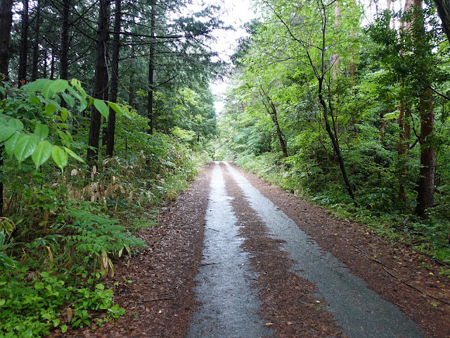 鳥取県西伯郡大山町一の谷　赤松林道