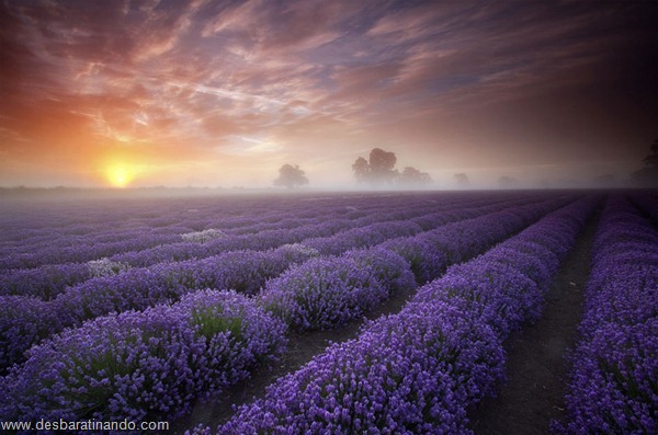 landscapes-paisagens-desbaratinando (15)