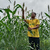 LDII Dorong Diversifikasi Makanan Pokok untuk Perkuat Ketahanan Pangan