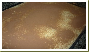 Tiramisù (10)