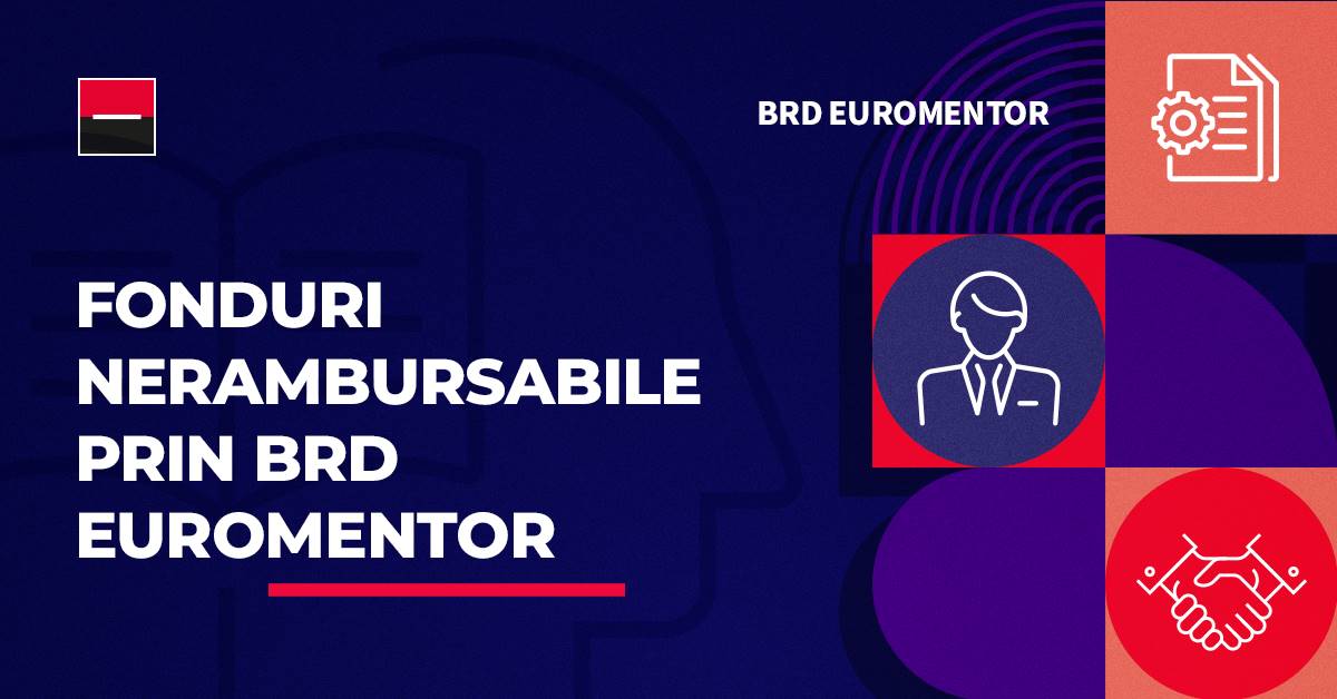 brd euromentor