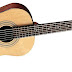 STEEL STRING ACOUSTIC ELECTRIC GUITAR