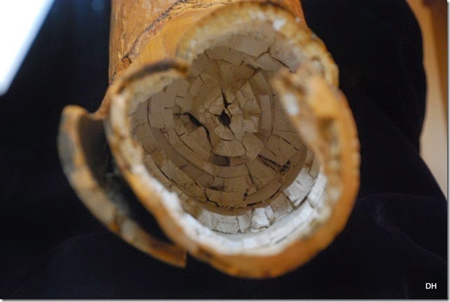 07-08-14 B Tate Geological Museum (19)