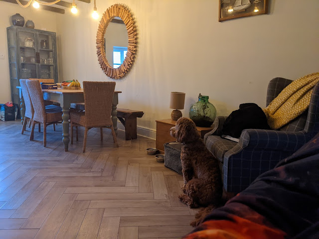 Dog Friendly Holidays in North East England - Harbour Way Seahouses