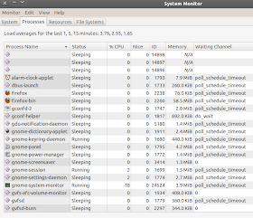Both CPU running almost 100% on maverick meerkat system monitor process
