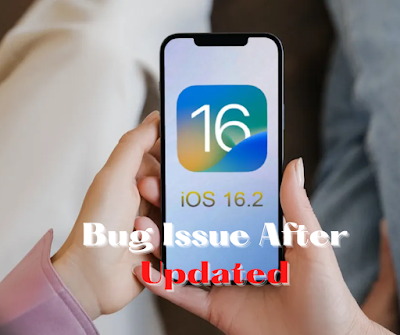 Bug Issue After Updated to iOS 16.2