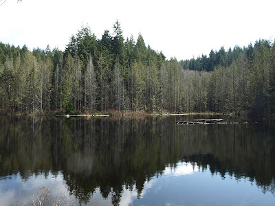 Pine and Cedar Lake Hike