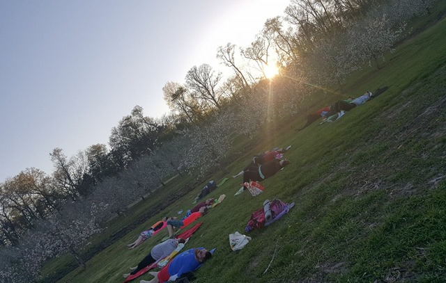 breathing yoga blooms