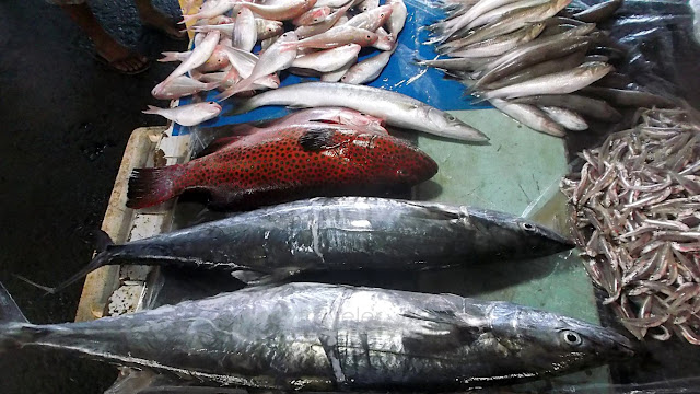 lapu-lapu and other fresh fish at the talipapa of Brgy 85 San Jose Tacloban