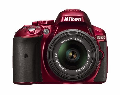 Nikon D5300 24.2 MP CMOS Digital SLR Camera
