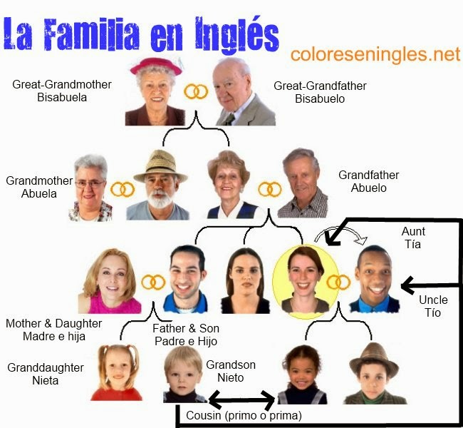 The family (familia)