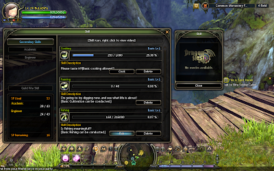 Dragon Nest - Secondary Skills