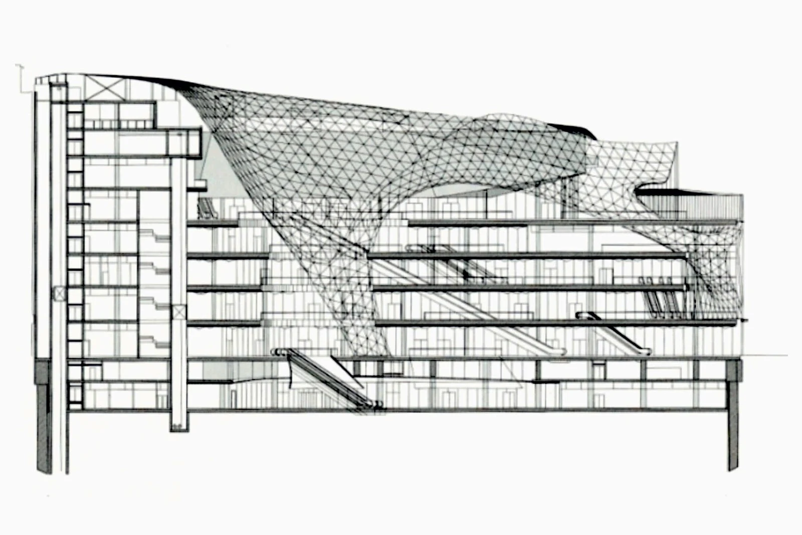 Fuksas 14