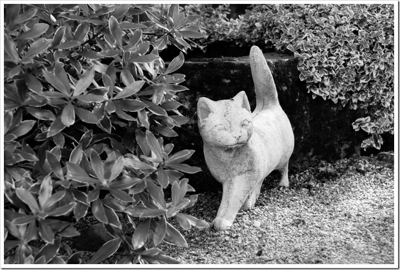 20170621-DSC08830