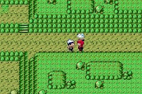 Pokemon CAOS Screenshot 07