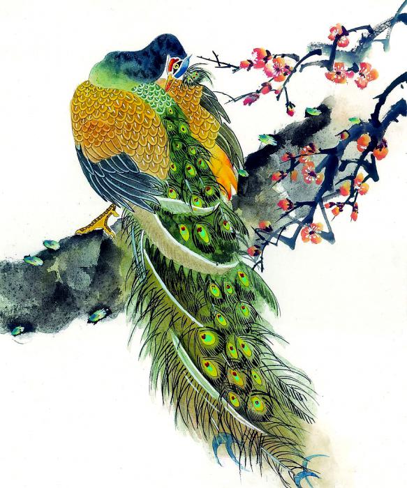 Beautiful Peacock Paintings