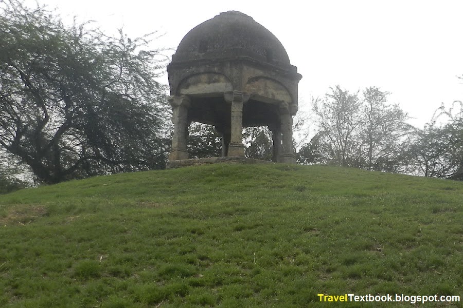 Metcalfe Canopy Mehrauli