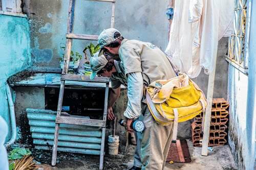  dengue e chikungunya 