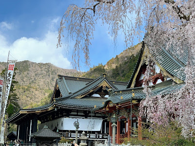 身延山久遠寺の桜