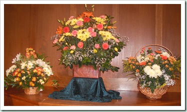 DSCF0563