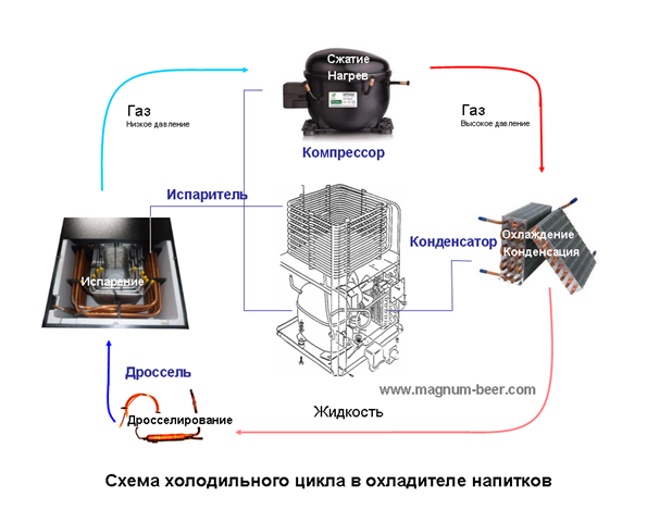 Цикл охлаждения в охладителе напитков