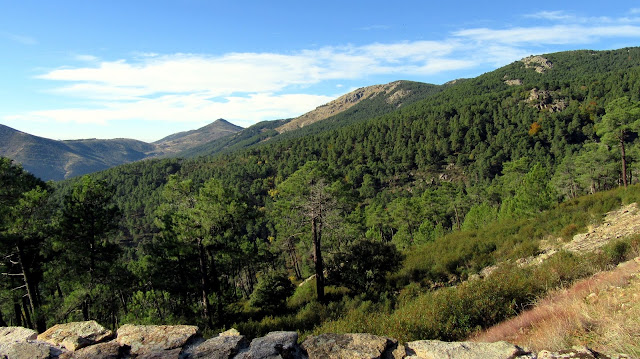 AlfonsoyAmigos - Abantos - Rutas Mtb