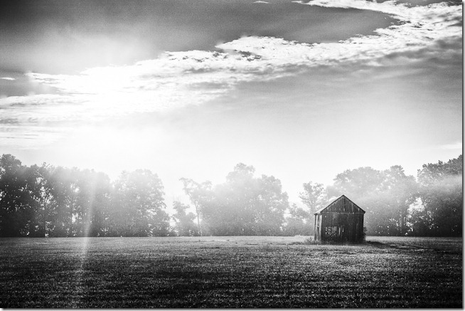 Barn the Mist-Edit