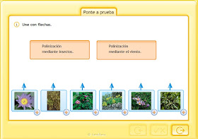 http://www.juntadeandalucia.es/averroes/centros-tic/41009470/helvia/aula/archivos/repositorio/0/190/html/recursos/la/U02/pages/recursos/143175_P28_2/es_carcasa.html