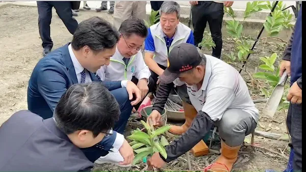 ▲日本北海道余市町齋藤啓輔町長率團訪永靖鄉，專程到永靖鄉湳港村德金種苗園參觀，由園主詹吉紘與詹鐘采絹伉儷示範永靖鄉著名的水果苗嫁接技術。（記者林明佑翻攝）