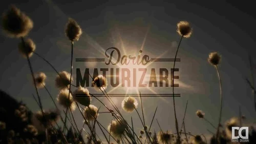 Dario - Maturizare