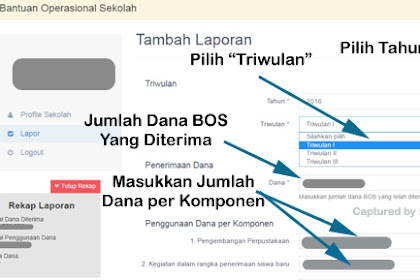 √ Panduan / Cara Pelaporan Penggunaan Dana Bos Tahun 2019 Triwulan I,
Ii, Iii, Dan Iv Sd, Smp, Sma, Dan Smk Secara Online Di Portal Bos