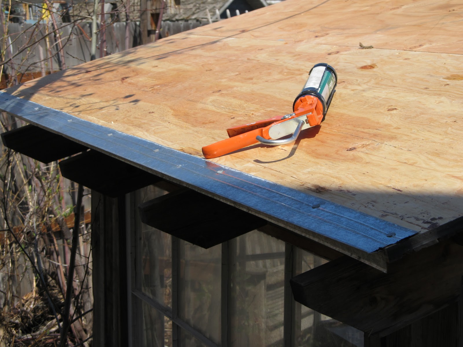 Montana Wildlife Gardener: Green Roof for the Grill Shed; phase 1