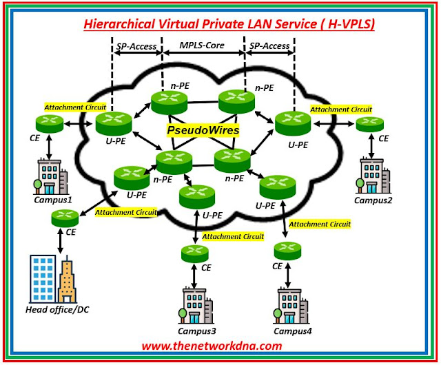 Hierarchical Virtual Private LAN Service ( H-VPLS)