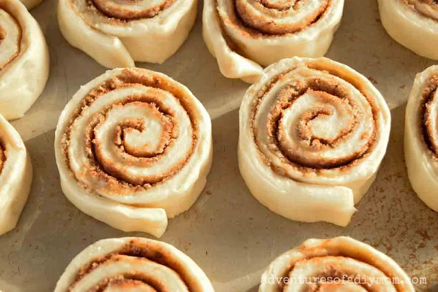 cinnamon rolls ready to rise